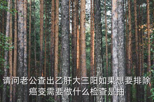 請問老公查出乙肝大三陽如果想要排除癌變需要做什么檢查是抽
