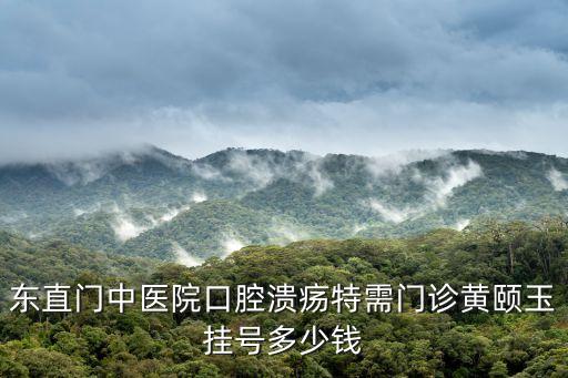 東直門(mén)中醫(yī)院口腔潰瘍特需門(mén)診黃頤玉掛號(hào)多少錢