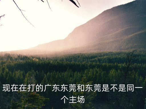 東莞新世紀(jì)主場地址，崛起新世紀(jì)在東莞哪個地方