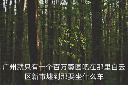 廣州就只有一個(gè)百萬(wàn)葵園吧在那里白云區(qū)新市墟到那要坐什么車(chē)