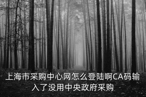 上海市采購(gòu)中心網(wǎng)怎么登陸啊CA碼輸入了沒(méi)用中央政府采購(gòu)