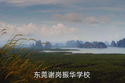 東莞謝崗小學官網，東莞謝崗振華學校