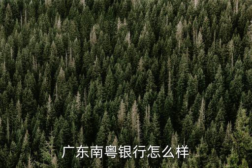 廣東南粵銀行怎么樣