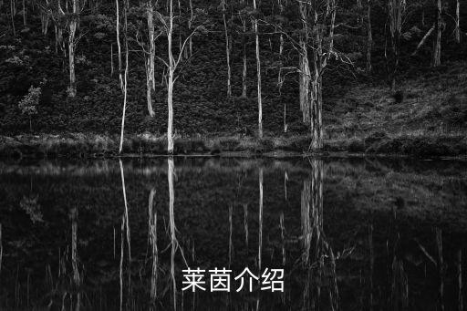 東莞必維集團，客戶答謝禮品送什么比較好