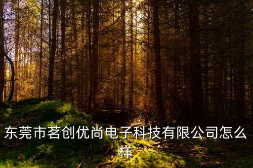 東莞市茗創優尚電子科技有限公司怎么樣