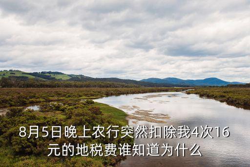 8月5日晚上農行突然扣除我4次16元的地稅費誰知道為什么