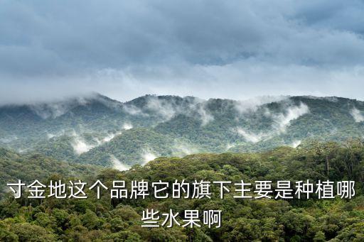 寸金地這個品牌它的旗下主要是種植哪些水果啊