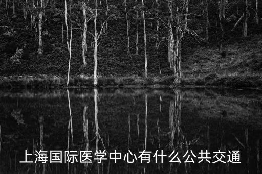 上海國際醫學中心有什么公共交通