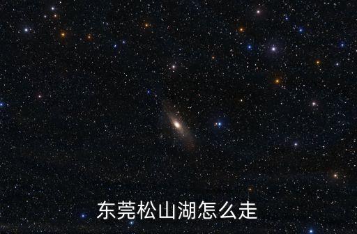 東莞松山湖哪個門停車最方便，東莞松山湖怎么走