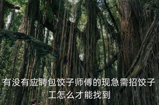 包餃子師傅深圳，深圳包師傅味道怎么樣