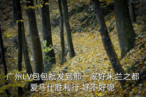 廣州LV包包批發到那一家好米蘭之都愛馬仕勝利行 好不好呢