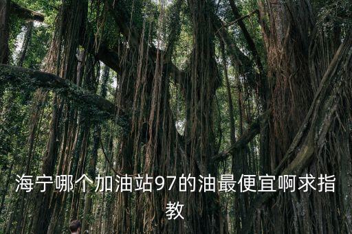 海寧哪個加油站97的油最便宜啊求指教