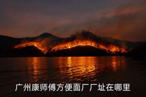 廣州康師傅方便面廠廠址在哪里