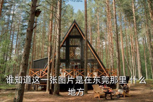 誰知道這一張圖片是在東莞那里 什么地方