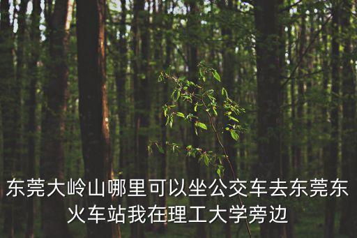 東莞大嶺山哪里可以坐公交車去東莞東火車站我在理工大學旁邊