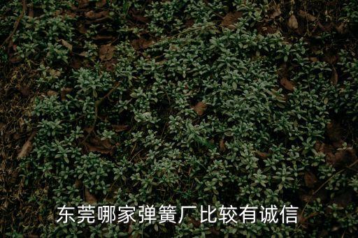 東莞電子電池彈簧生產廠家，東莞哪家彈簧廠比較有誠信