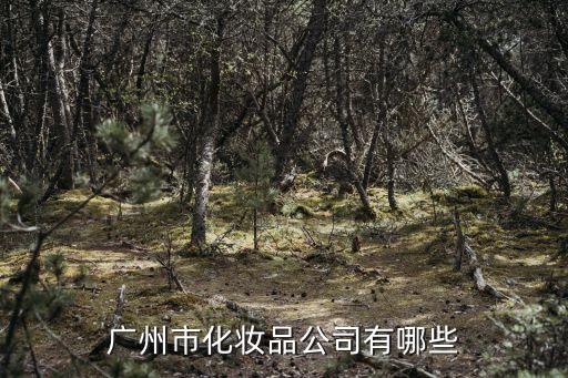 廣州好奇特化妝品公，廣州有哪些化妝品公司