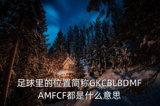 足球里的位置簡稱GKCBLBDMFAMFCF都是什么意思