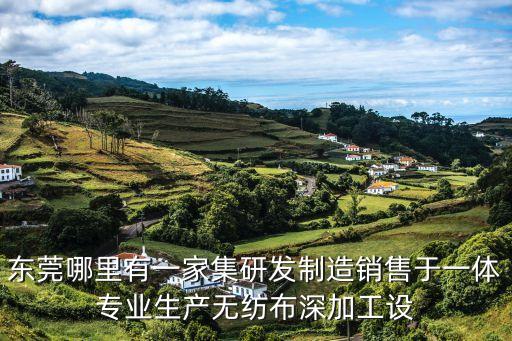 東莞哪里有一家集研發(fā)制造銷售于一體專業(yè)生產(chǎn)無紡布深加工設(shè)