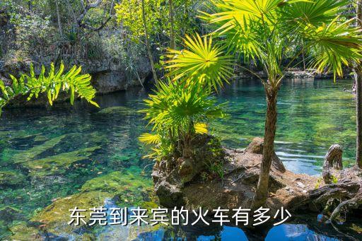 東莞到來賓火車多少錢，從東莞到廣西來賓車票多少