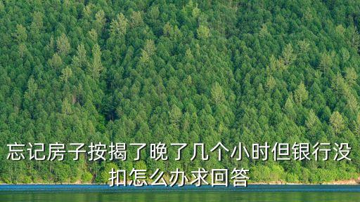 忘記房子按揭了晚了幾個小時但銀行沒扣怎么辦求回答