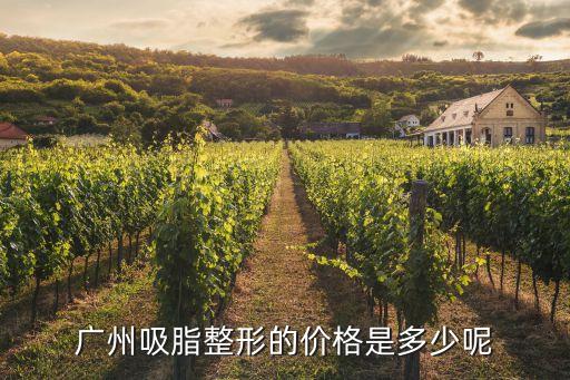 廣州腹部吸脂怎么收費(fèi)，廣州腹部吸脂要多少錢