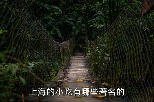 上海市的名吃，上海的小吃有哪些著名的