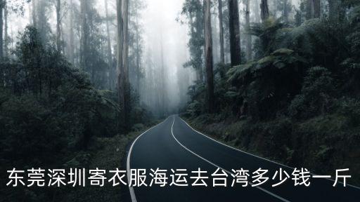 東莞深圳寄衣服海運去臺灣多少錢一斤
