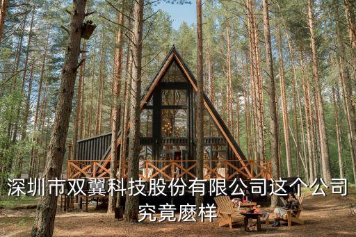 深圳市雙臻科技，深圳市雙翼科技股份有限公司這個公司究竟麼樣