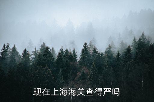 上海市病毒是不是很嚴，上海是否有人中SB520病毒