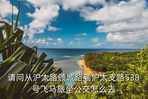 請問從滬太路顧城路到滬太支路538號飛馬旅坐公交怎么去