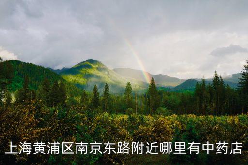 上海黃浦區南京東路附近哪里有中藥店