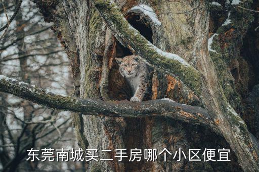 東莞南城陽光城尚東灣，東莞南城買二手房哪個小區(qū)便宜