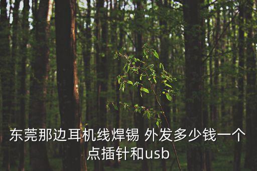 東莞那邊耳機線焊錫 外發多少錢一個點插針和usb