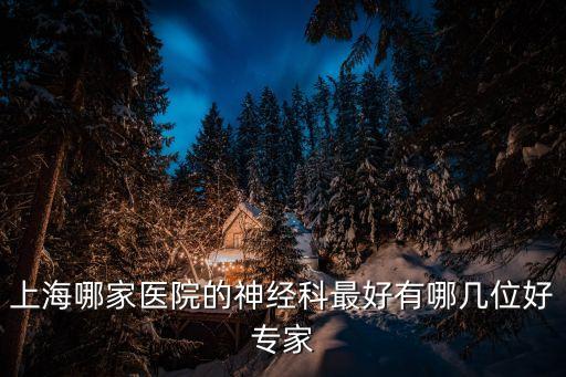 上海哪家醫院的神經科最好有哪幾位好專家