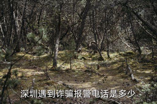 深圳遇到詐騙報(bào)警電話是多少