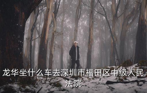 深圳龍華法院附近，龍華坐什么車去深圳市福田區(qū)中級人民法院