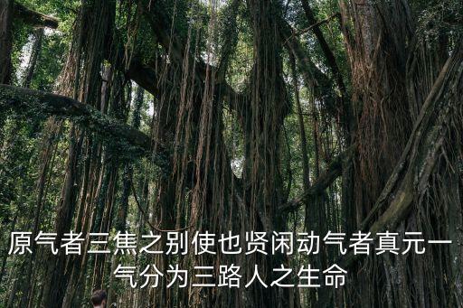 原氣者三焦之別使也賢閑動氣者真元一氣分為三路人之生命