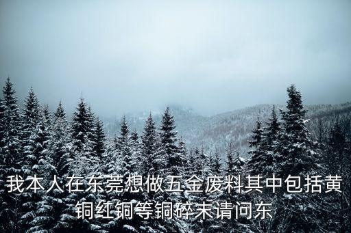 我本人在東莞想做五金廢料其中包括黃銅紅銅等銅碎末請問東