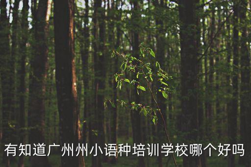 廣州小語種中轉(zhuǎn)排名，廣州最吃香的小語種