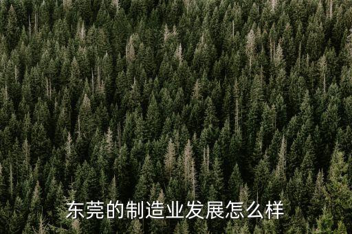 東莞工業園區發展前景，東莞的制造業發展怎么樣