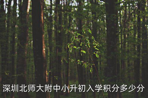 深圳北師大附中小升初入學積分多少分