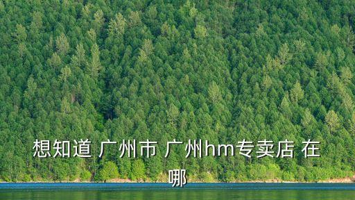 想知道 廣州市 廣州hm專賣店 在哪