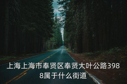 上海上海市奉賢區奉賢大葉公路3988屬于什么街道