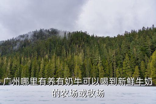 廣州哪里有養有奶牛可以喝到新鮮牛奶的農場或牧場