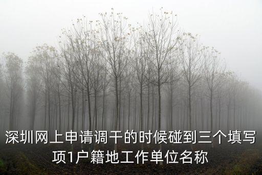深圳網上申請調干的時候碰到三個填寫項1戶籍地工作單位名稱