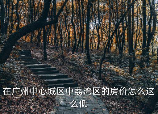 廣州荔灣區一手房，廣州荔灣區房價多少錢一平方