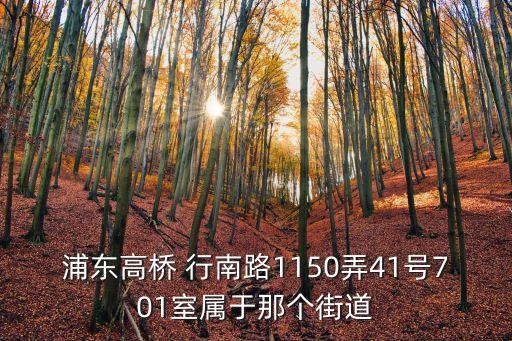 浦東高橋 行南路1150弄41號701室屬于那個街道