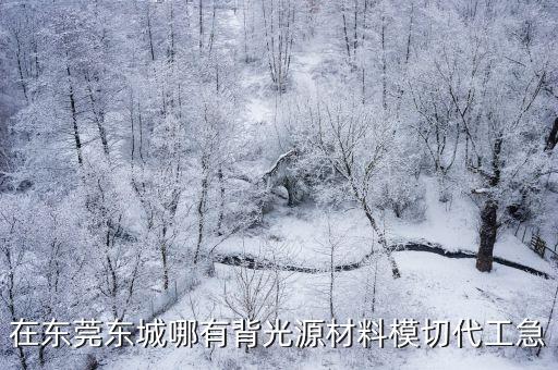 東莞市東城展源企業有限公司，在東莞東城哪有背光源材料模切代工急