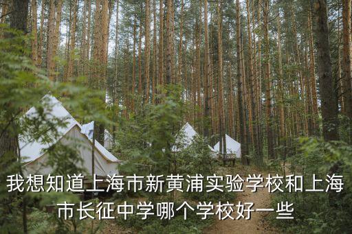 上海市新黃埔實驗學校招聘信息，上海新黃浦實驗學校